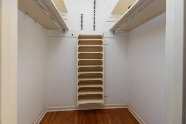 walk in closet featuring dark wood finished floors