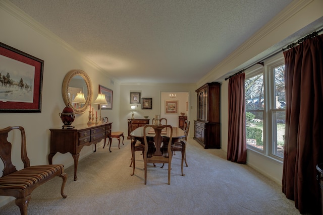 carpeted dining area featuring crown molding and a textured ceiling