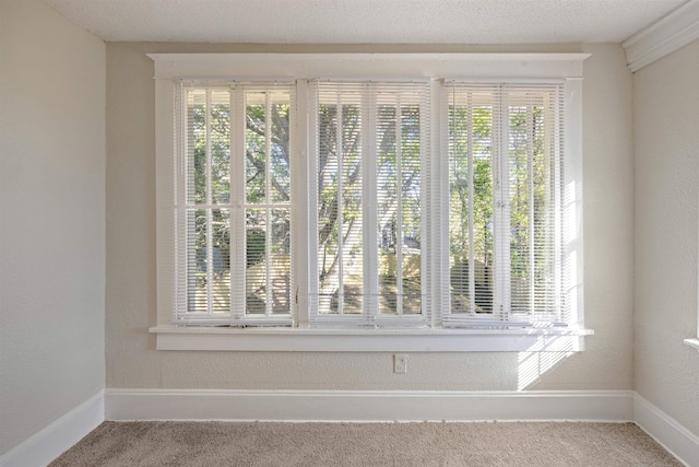 room details with carpet floors and a textured ceiling