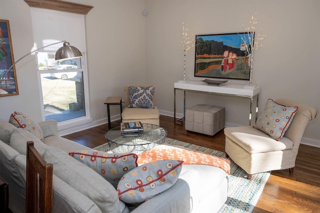 living room featuring hardwood / wood-style flooring