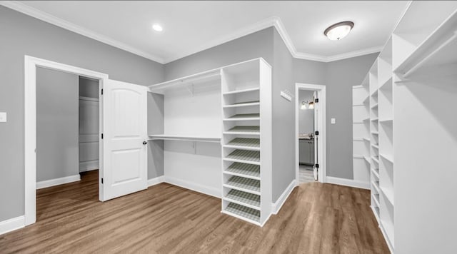 spacious closet with hardwood / wood-style flooring