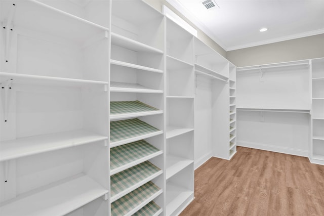 walk in closet featuring hardwood / wood-style flooring