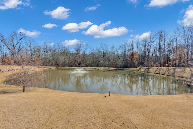 property view of water