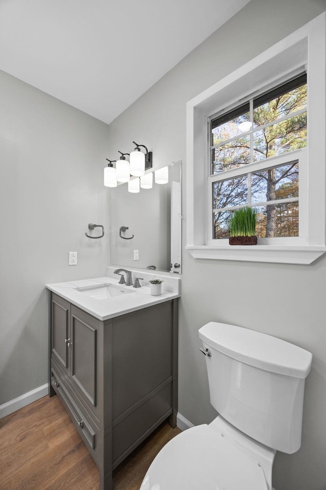 bathroom featuring vanity, wood-type flooring, and toilet