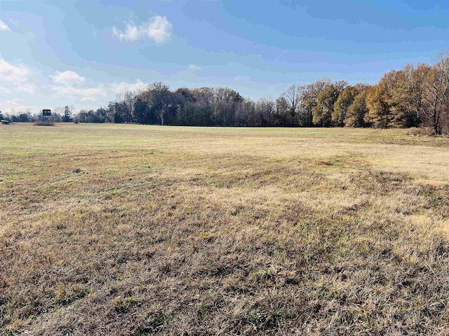 400 Teague Store Rd, Somerville, TN 38068