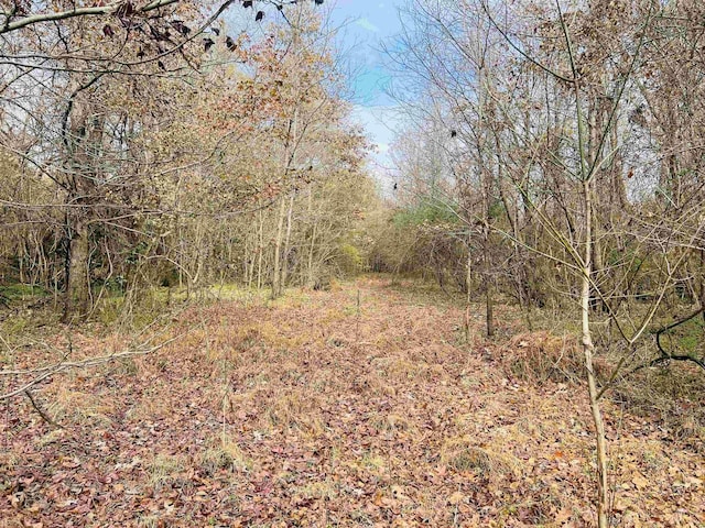 400 Teague Store Rd, Somerville, TN 38068