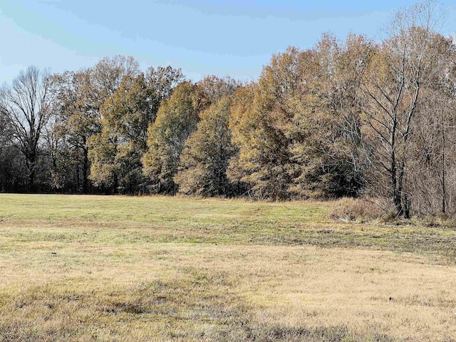 400 Teague Store Rd, Somerville, TN 38068
