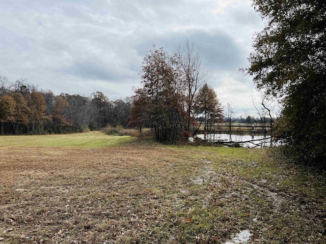 400 Teague Store Rd, Somerville, TN 38068