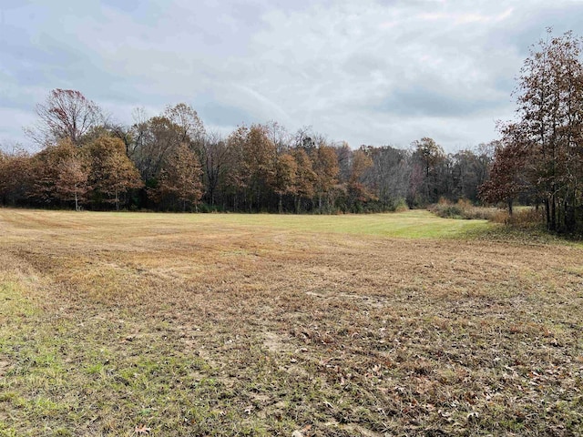 400 Teague Store Rd, Somerville, TN 38068