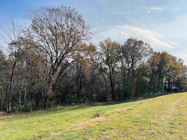 400 Teague Store Rd, Somerville, TN 38068