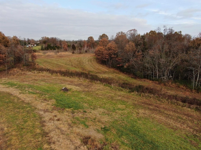 400 Teague Store Rd, Somerville, TN 38068