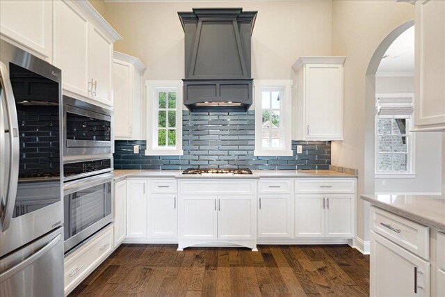 680 Magnolia Ln, Piperton, TN 38017 - kitchen featuring stainless steel appliances, custom exhaust hood, arched walkways, dark wood finished floors, and tasteful backsplash