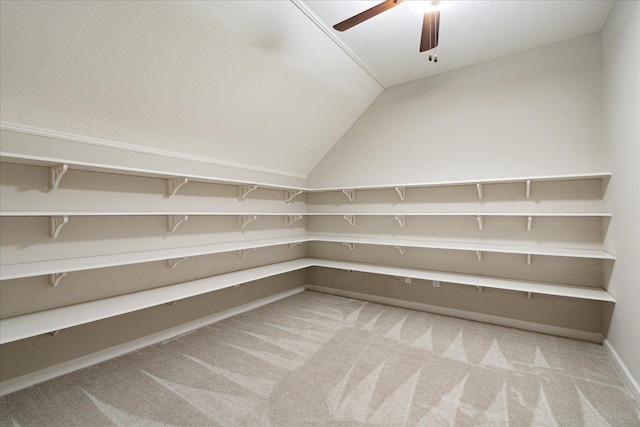 680 Magnolia Ln, Piperton, TN 38017 - storage featuring ceiling fan