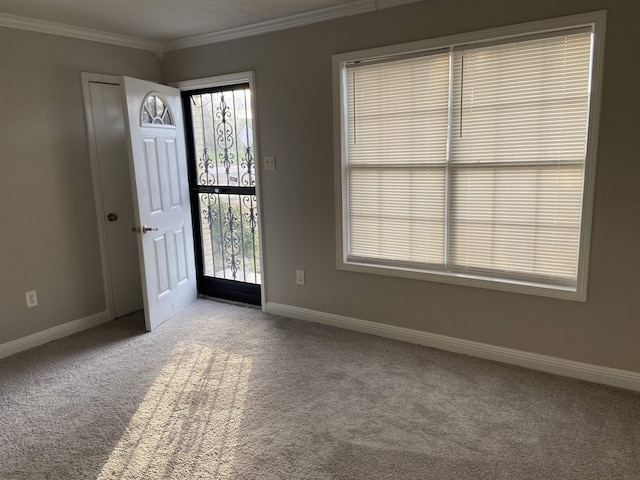 carpeted spare room with crown molding and a textured ceiling