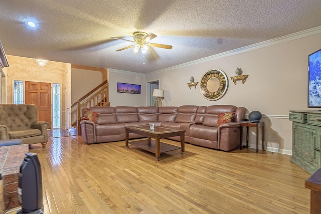 living room featuring crown molding, light hardwood / wood-style floors, and a textured ceiling