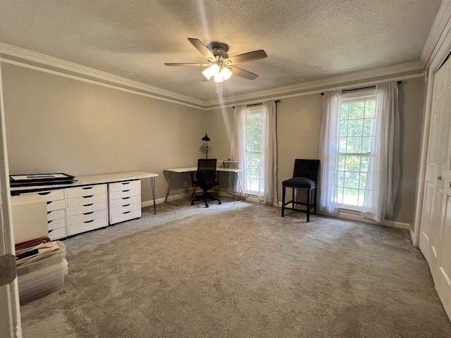 unfurnished office featuring carpet flooring, ceiling fan, ornamental molding, and a textured ceiling