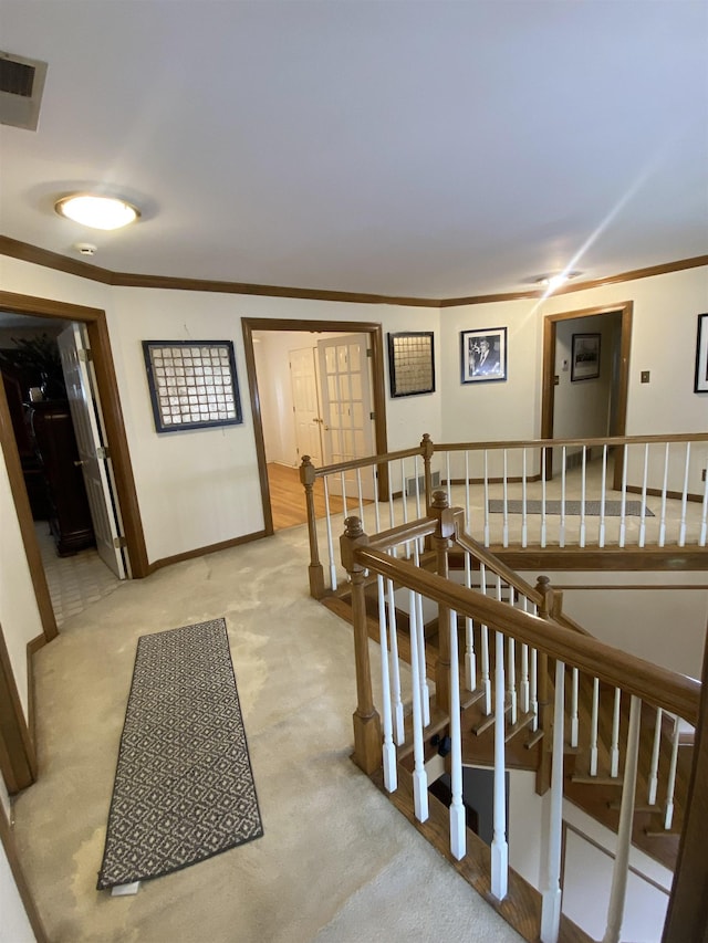 hallway with carpet flooring and crown molding