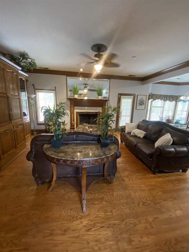 living room with a wealth of natural light, crown molding, ceiling fan, and light wood-type flooring