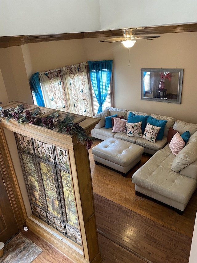 living room with ceiling fan and wood-type flooring