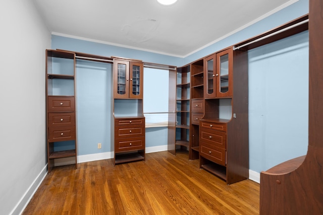 walk in closet featuring dark hardwood / wood-style flooring