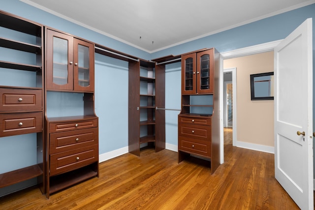 spacious closet with dark hardwood / wood-style flooring