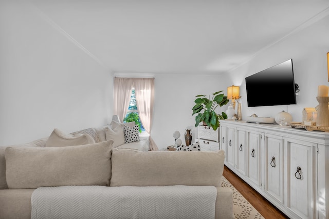 living room featuring wood-type flooring and crown molding