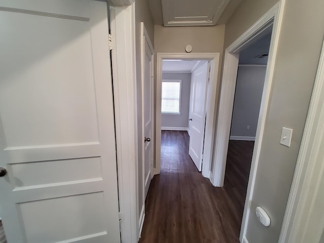 corridor with dark hardwood / wood-style floors