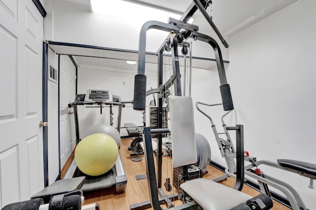 workout room featuring wood-type flooring