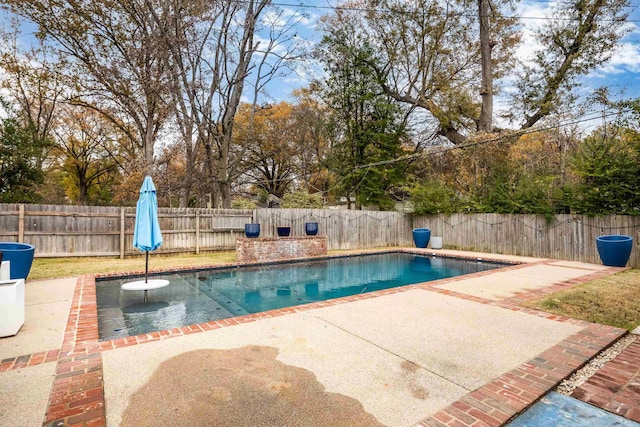 view of pool with a patio area