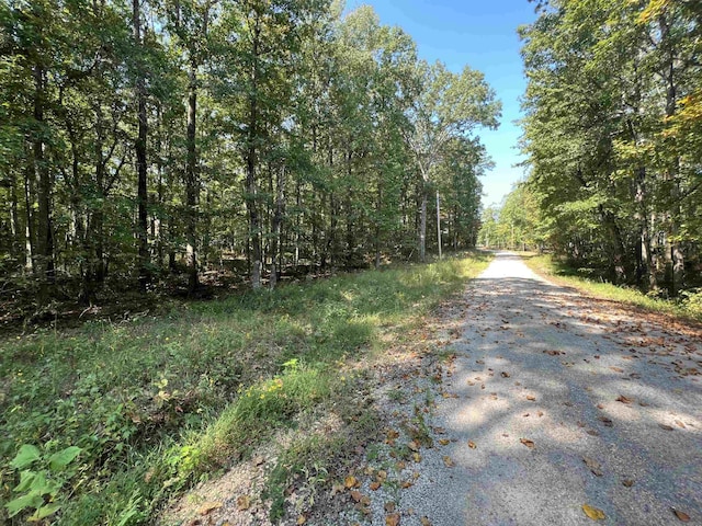 0058 Joanne Loop, Savannah TN, 38372 land for sale