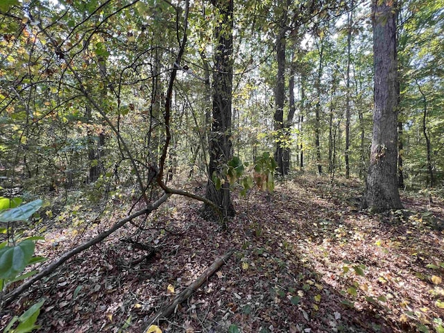 0059 Joanne Loop, Savannah TN, 38372 land for sale