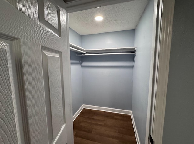 walk in closet with hardwood / wood-style flooring