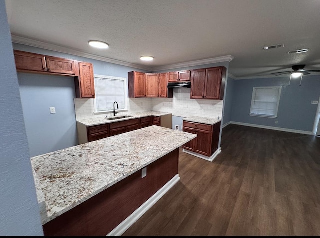 kitchen featuring light stone countertops, dark hardwood / wood-style flooring, tasteful backsplash, crown molding, and sink