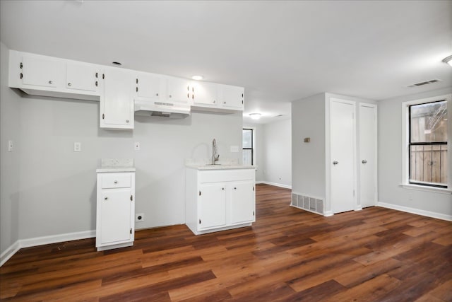 kitchen with white cabinets, dark hardwood / wood-style floors, and sink