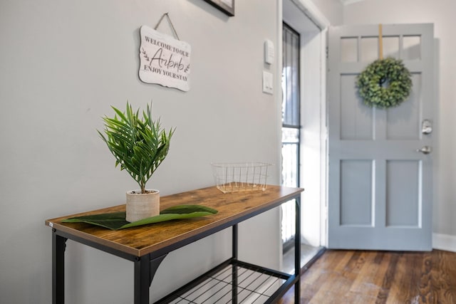 foyer with dark wood-type flooring