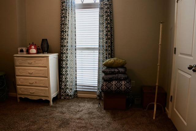 bedroom with carpet flooring