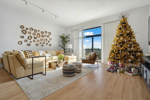 living room featuring rail lighting and light hardwood / wood-style floors