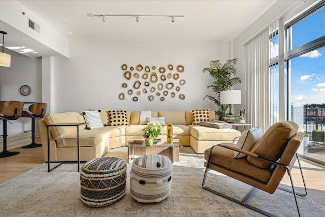 living room with light hardwood / wood-style floors and track lighting