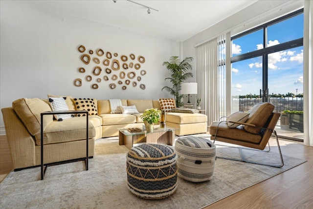 living room featuring light hardwood / wood-style floors