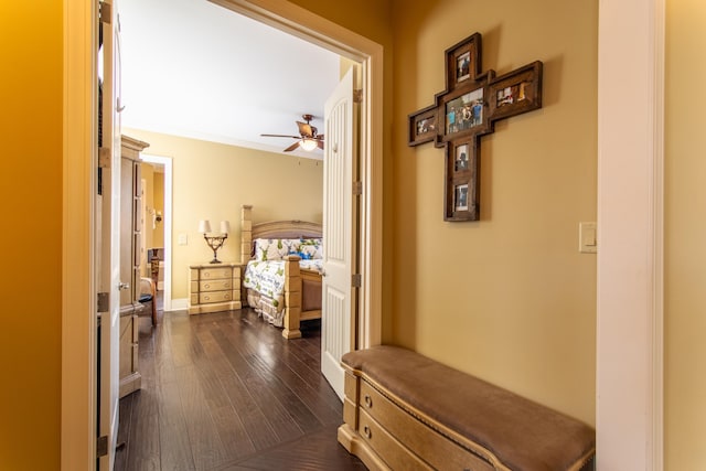 hallway with dark wood-type flooring