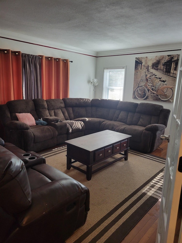 living room with hardwood / wood-style flooring, ornamental molding, and a textured ceiling