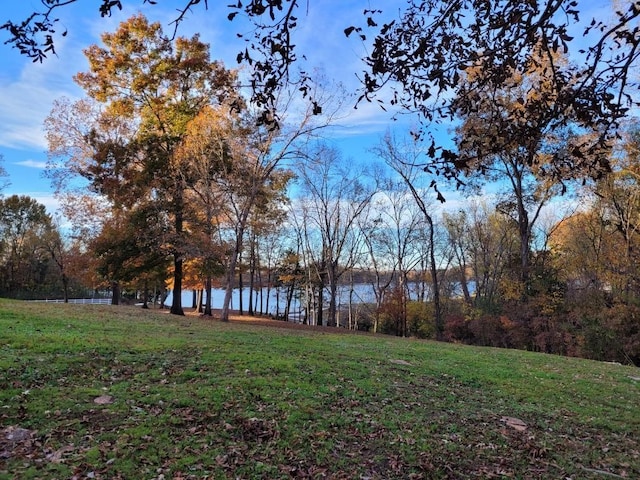 view of yard with a water view