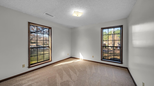 spare room with light colored carpet and a textured ceiling