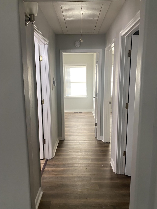 corridor featuring dark hardwood / wood-style flooring