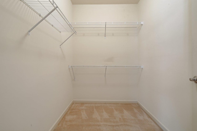 spacious closet featuring light colored carpet