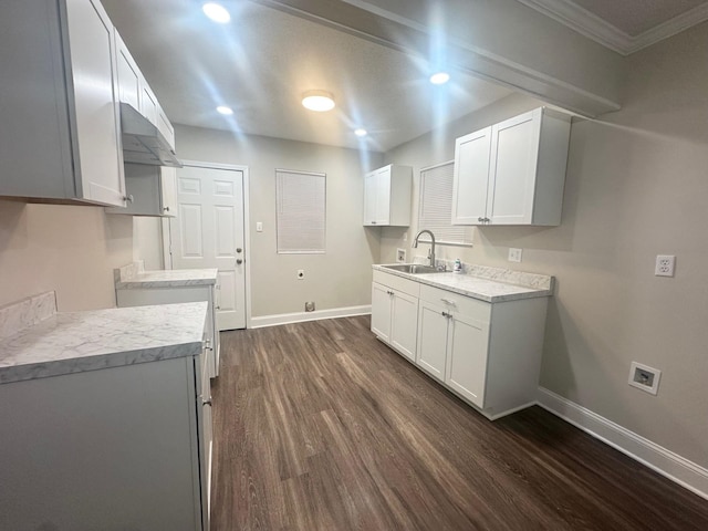 kitchen featuring ornamental molding, white cabinetry, dark wood-type flooring, and sink