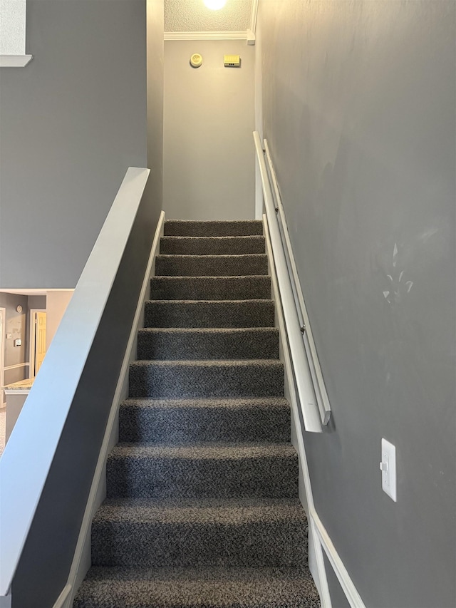 stairs featuring carpet and crown molding