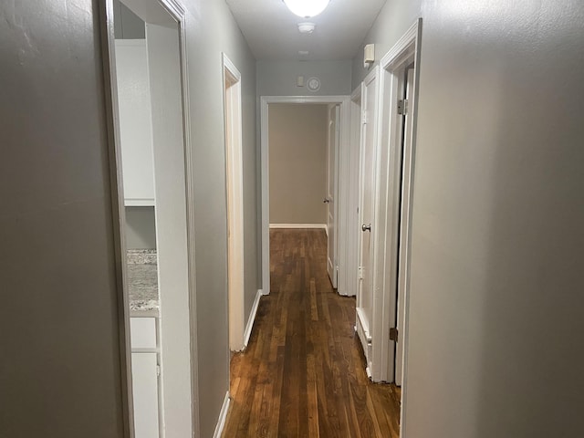 hallway with dark hardwood / wood-style flooring