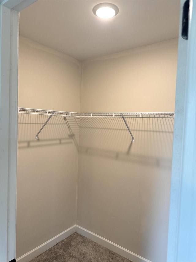5549 Shipp Rd, Millington, TN 38053 - spacious closet with carpet