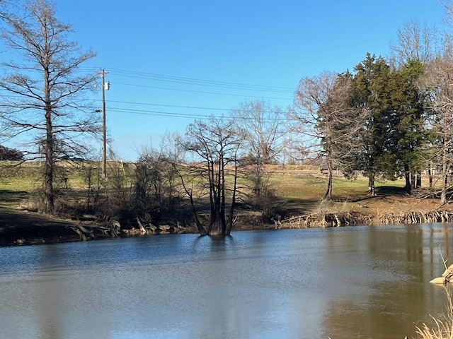 Water St E, Clifton TN, 38425 land for sale